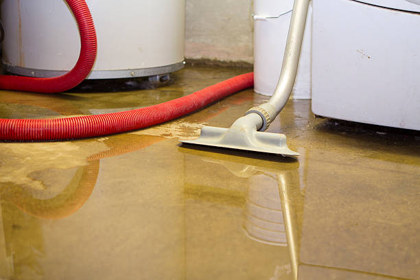 Best Residential water damage restoration  in Dennison, OH