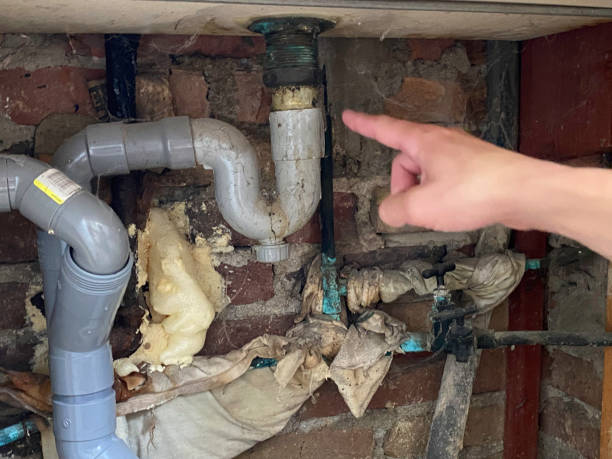 Best Water damage contractors near me  in Dennison, OH