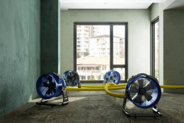 Best Emergency water damage restoration  in Dennison, OH